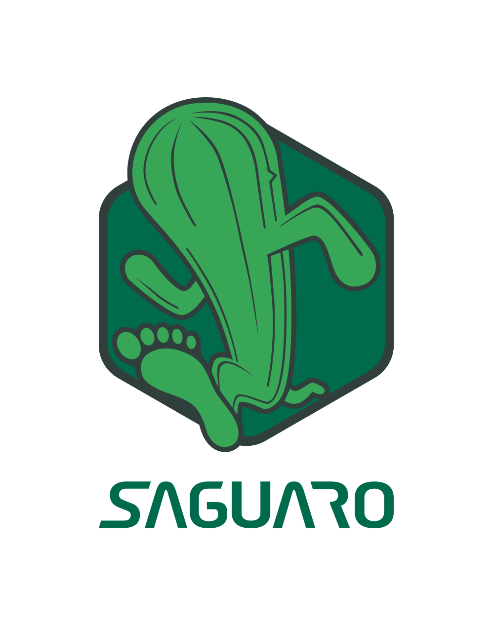 Saguaro Review — Affordable Barefoot Shoes for Everyday, Hiking & Training